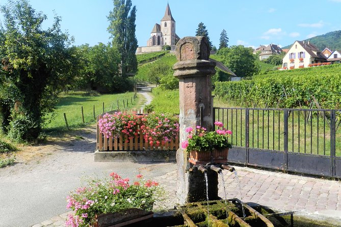 The Emblematic: Visit of Villages, Haut-Koenigsbourg, Wine Tasting - Details