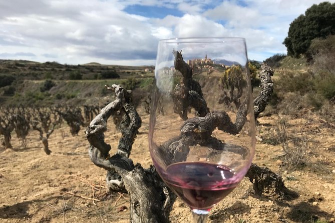 The La Rioja Boutique Wine Tour - 2 Wineries & Picnic Lunch (From Bilbao) - Inclusions