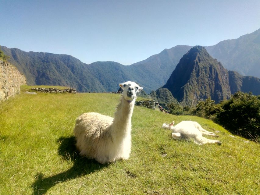 The Peru of the Andes - The White City of Arequipa