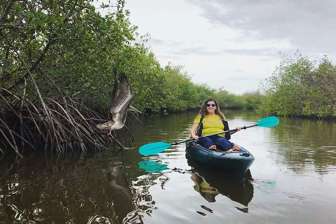 Thousand Island Mangrove Tunnel, Manatee & Dolphin Kayak Tour W/Cocoa Kayaking - Inclusions