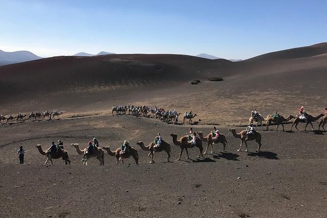 Timanfaya & Lanzarote Volcano Experience - Highlights of the Tour