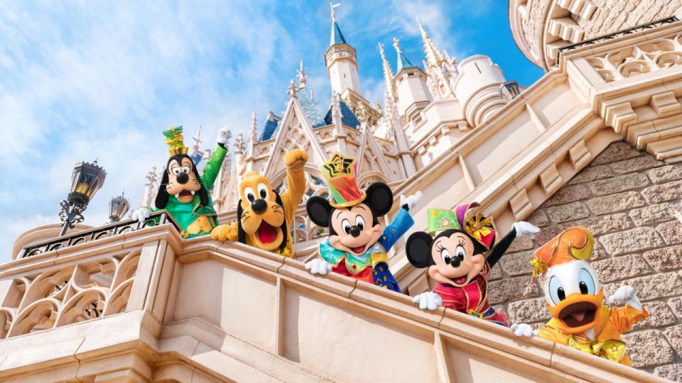 Tokyo Disneyland: 1-Day Entry Ticket and Private Transfer - Highlights of the Experience