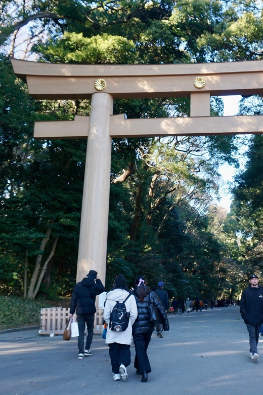 Tokyo Harajuku Meiji Shrine 1h Walking Explanation Tour - Highlights of the Shrine