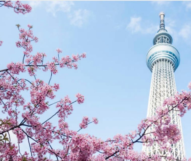 Tokyo Private Tour: Customizable (Up-To 6 Persons) - Pricing