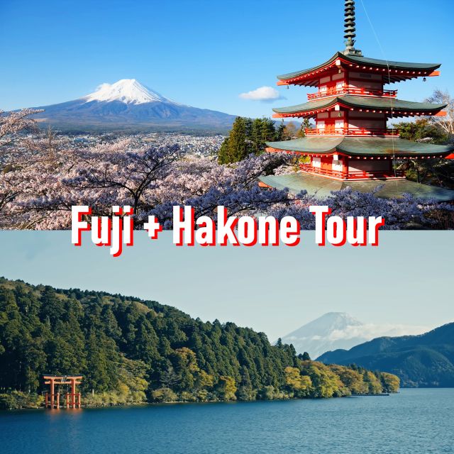 Tokyo to Mount Fuji and Hakone: Private Full-Day Tour - Pricing and Booking