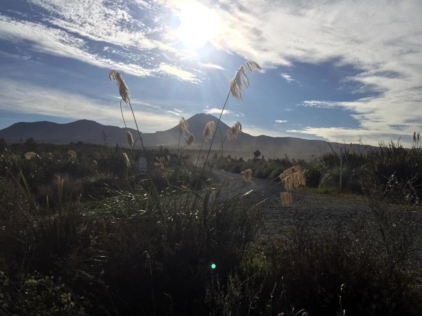 Tongariro Crossing: Ketetahi Park and Ride Shuttle to Start - Pricing and Duration Details