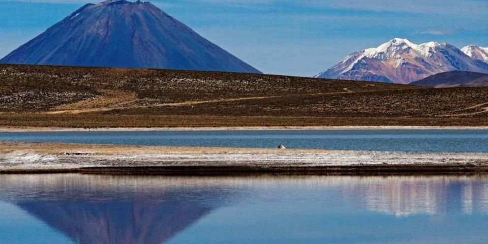 Tour of Salinas and Yanaorco Lagoons + Lojen Thermal Baths - Salinas Lagoon and Wildlife