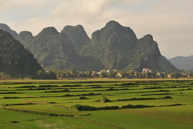 Tour to the Caves ONE DAY Tour to Phong Nha and Paradise Caves - Meeting and Pickup