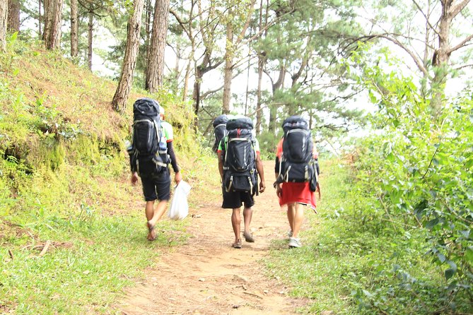 Trek On Langbian Mountain - Exploring Local Forests