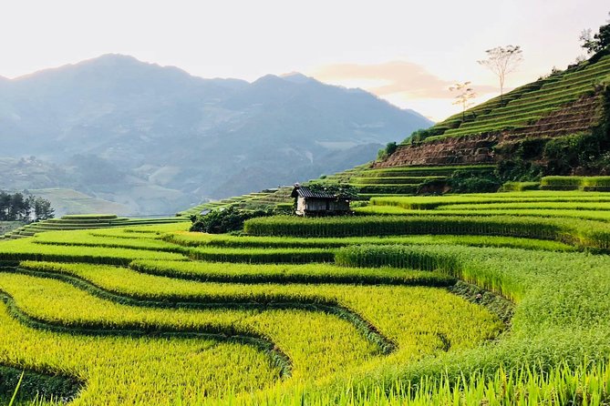 Trekking Sapa 1 Day - the Best Terraced Rice Field - Inclusions for the Trekking Experience
