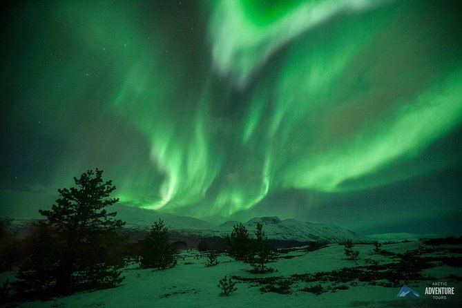 Tromsø: Small Group Northern Lights Hunt - Meeting and Pickup