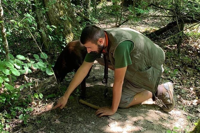 Truffle Hunting Adventure - Local Family of Truffle Hunters