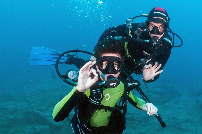 Try Scuba Diving in a Turtle Area (Boat) - Spotting Native Marine Wildlife