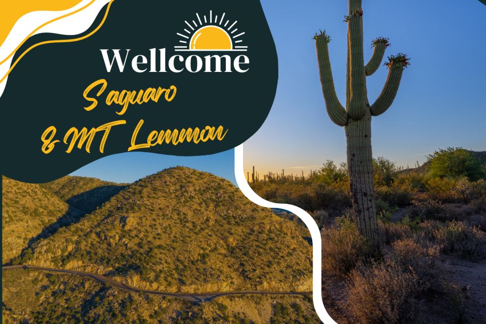 Tucson: Mt Lemmon & Saguaro NP Self-Guided Bundle Tour - Breathtaking Vistas of Tucson