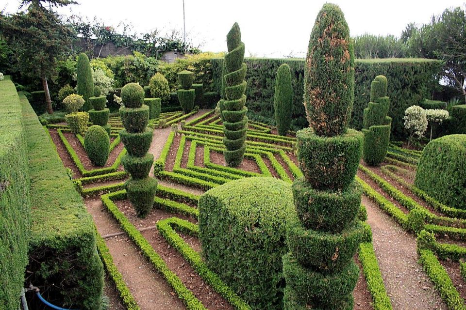 Tuk Tuk Botanical Garden - Madeira Island - Tour Details