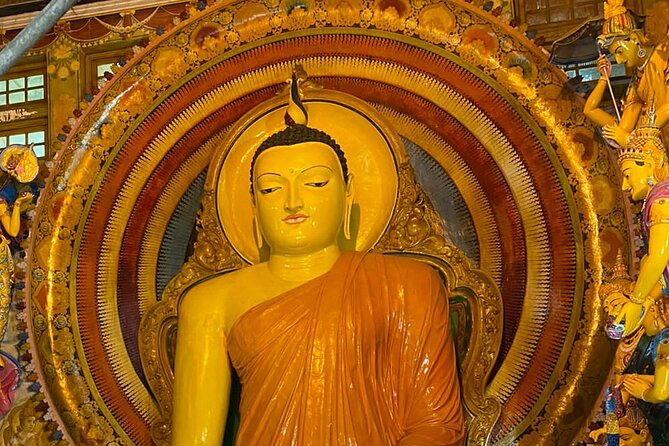 Tuk Tuk Private Safari Tour Exploring Sri Lankas Capital Colombo - Pickup and Meeting Details