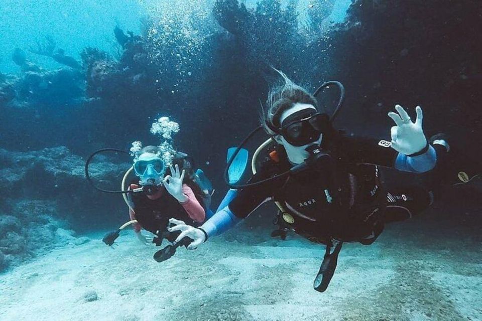 Tulum: Wonders of the Underwater World Discover Scuba Diving - Activity Highlights