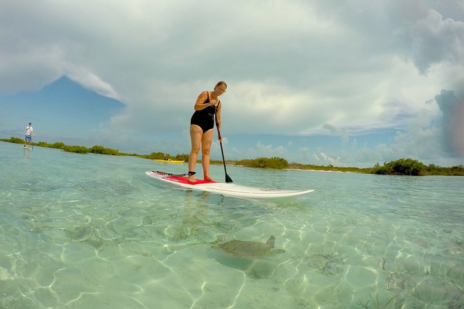 Turtle Eco Tour on Stand-Up Paddleboards or Kayaks Into the National Marine Park - Booking Information