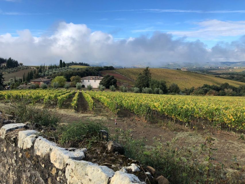 TUSCANY: WINE TASTING IN THE HEART OF CHIANTI CLASSICO - Highlights of the Experience