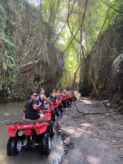 Ubud: Best of ATV Quad Bike Adventure - Thrilling ATV Quad Bike Experience