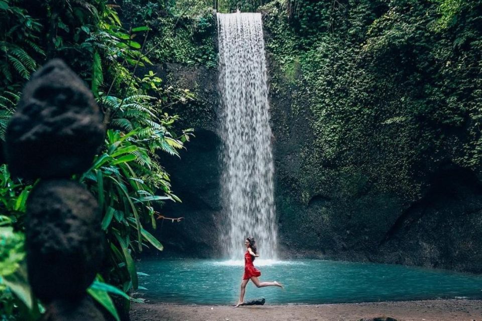 Ubud: Best of Waterfall Tour and Rice Terrace - Itinerary Highlights