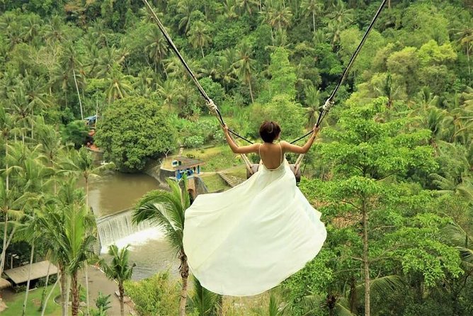 Ubud: Monkey Forest, Jungle Swing, Rice Terrace, and Water Temple - Included in the Tour