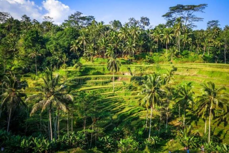 Ubud Private Day Tour With Bali Lady Driver - Itinerary Highlights