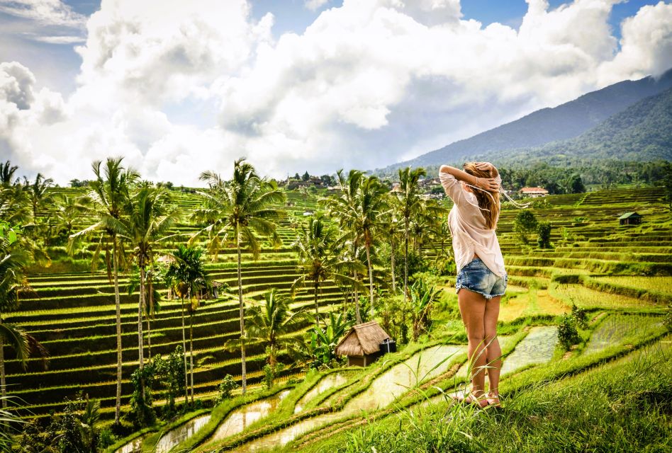 Ubud: Rice Terraces, Waterfall, and Monkey Forest Day Tour - Itinerary Overview