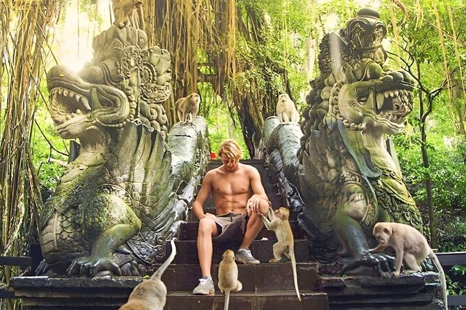 Ubud Tour With Sacred Monkey Forest Sanctuary - Waterfall - Rice Terrace - English-Speaking Driver
