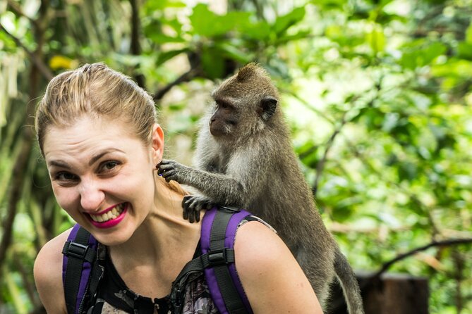 Ubud Tour With Swing, Temple, Monkey Forest, and Waterfall - Sacred Monkey Forest Sanctuary