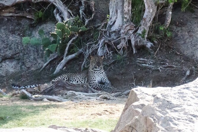 Udawalawe National Park | Private Safari Tour - Meeting and Pickup Locations