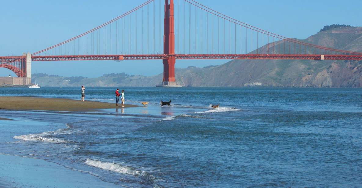 Ultimate Golden Gate Bridge & SF Bay Explorer Tour - Key Highlights