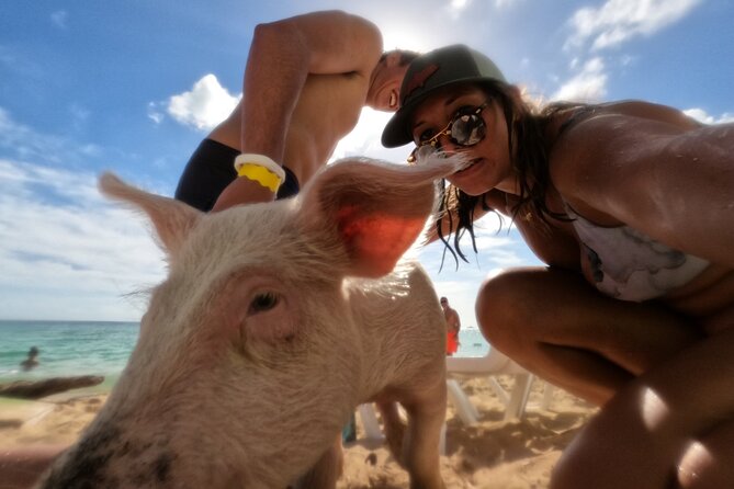 Ultimate SeaXscape! Pigs, Turtles, Snorkel, Lunch, Pickup/Dropoff - Snorkeling Through Coral Reefs