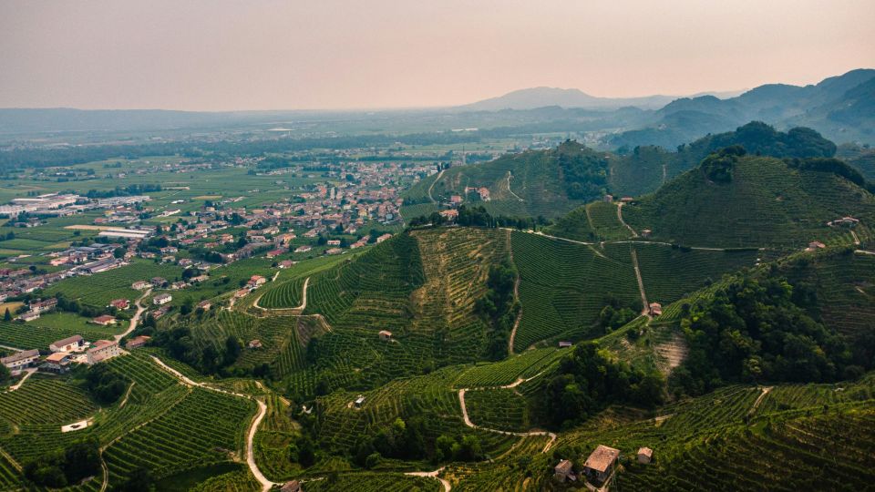 Valdobbiadene: Private Prosecco Tour & Tasting With a Sommelier - Pickup and Drop-off Options