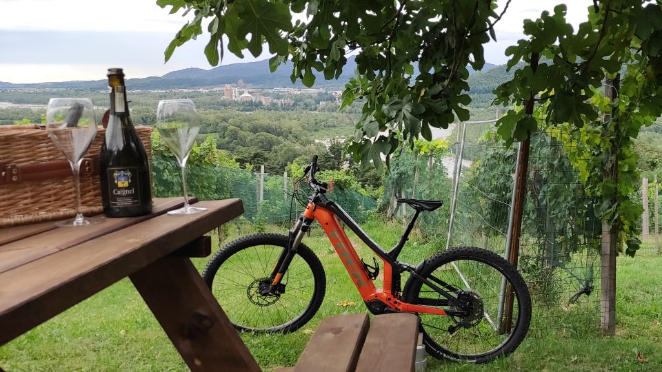 Valdobbiadene - Prosecco Hills Cycling With Sommelier - Prosecco Wine Tasting With a Sommelier