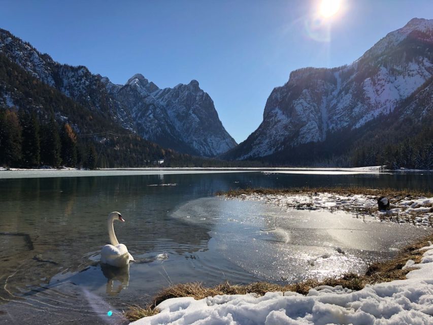 Venice: Dolomites & Cortina Dampezzo - Inclusions