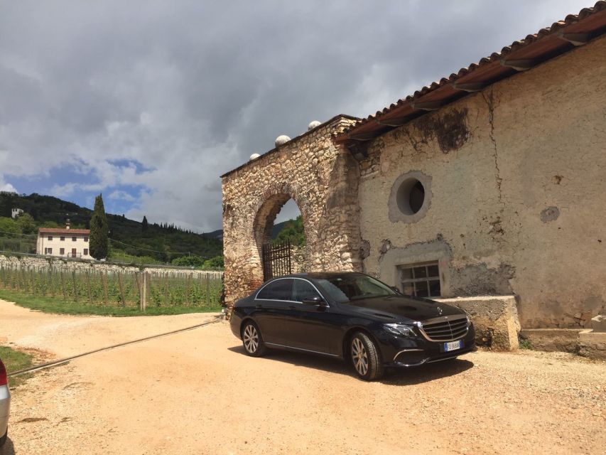 Verona: Amarone Wine Tour With Gourmet Lunch in Roman Villa - Tour Highlights