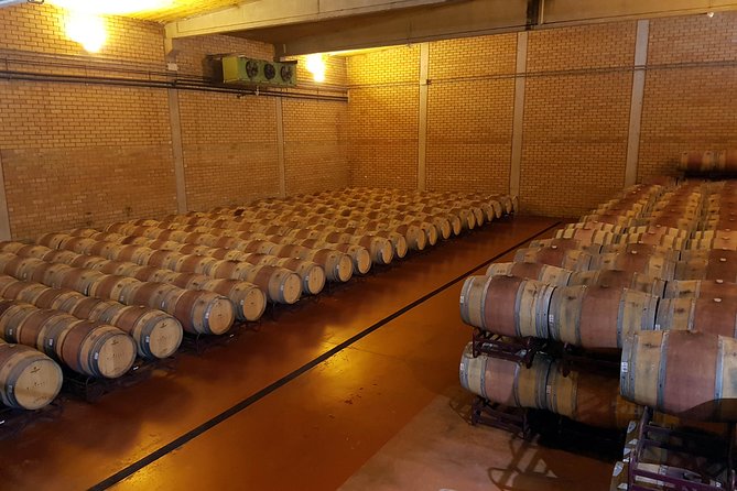 Visit and Wine Tasting With Sausage and BODEGA PIRINEOS Cheese - Location and Accessibility