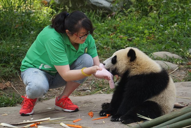 Visiting Dujiangyan Yaan Wolong Panda Base Optional Volunteering - Inclusions and Exclusions