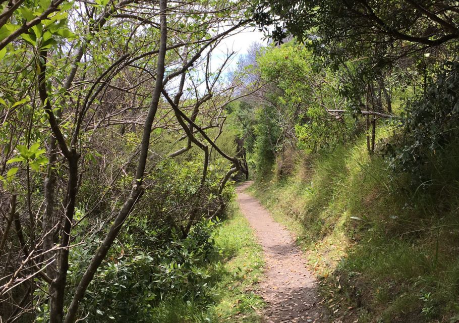 Waiheke Island: Double Headland Premium Guided Coastal Walk - Price and Inclusions