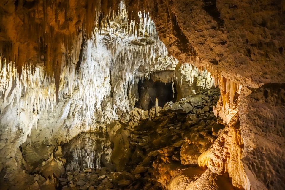 Waitomo: Glowworm Caves Guided Tour by Boat - Booking Information