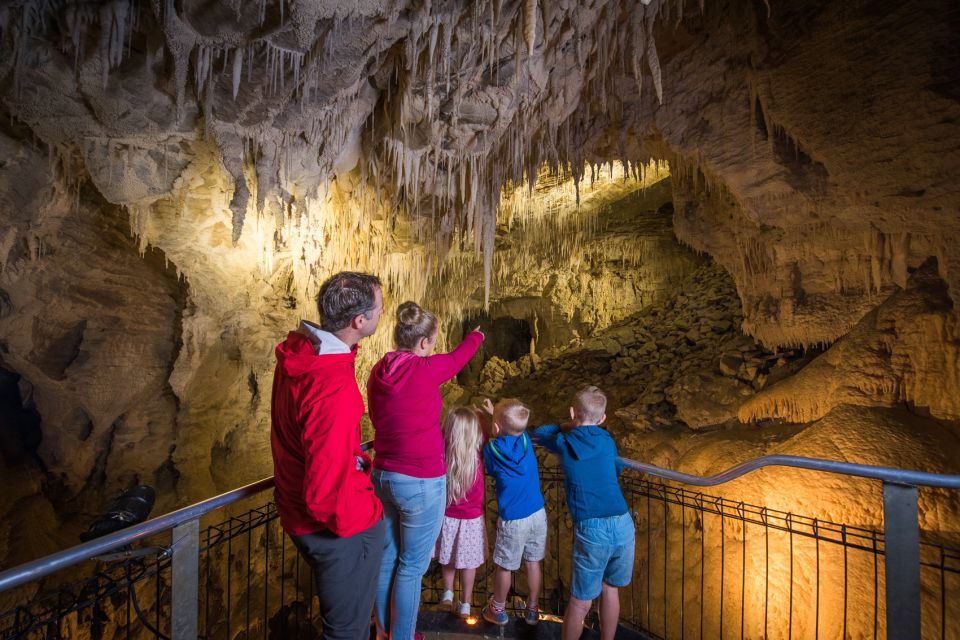 Waitomo: Ruakuri Cave 1.5 Hour Guided Tour - Inclusions