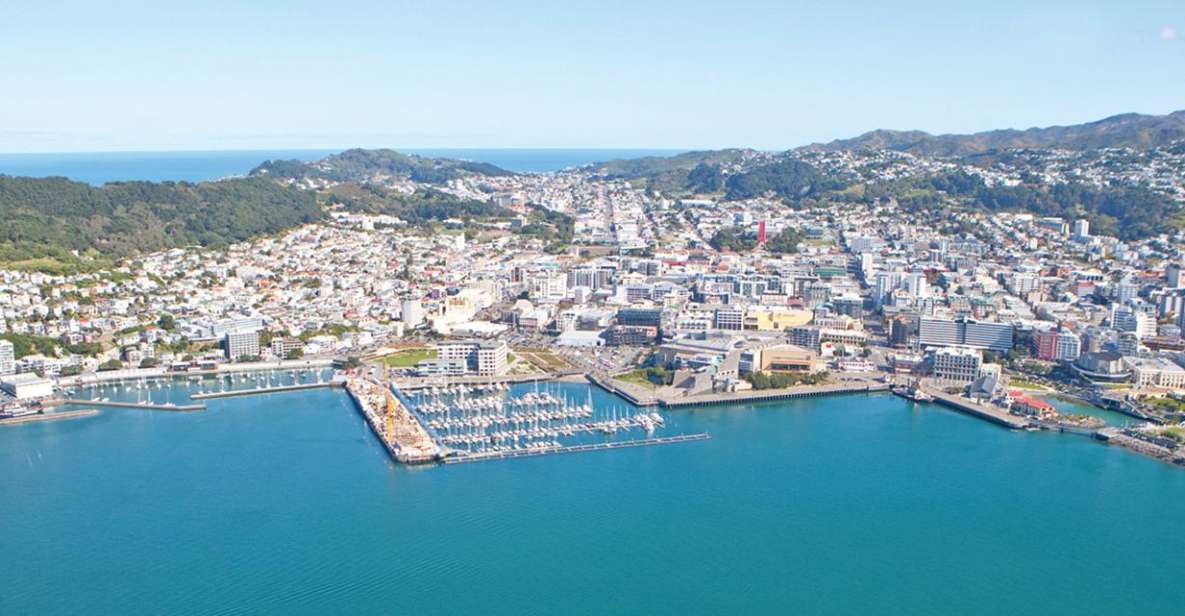 Wellington: Scenic South Coast Discovery Helicopter Flight - Pricing Information