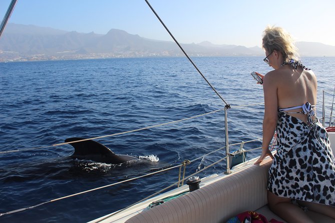 Whale and Dolphin Small Group Sailing From Tenerife South - Highlights of the Trip