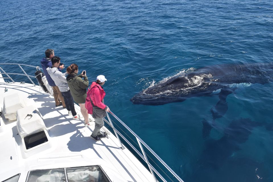 Whale Watching Cruise From Busselton, Augusta or Dunsborough - Features and Inclusions