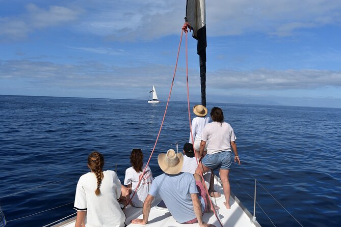 Whale Watching in Los Gigantes for Over 11 Years - Small-Group Tour Features