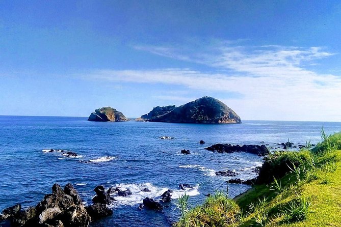 Whales and Dolphins + Vila Franca Islet (Full Day With Lunch) - Whale and Dolphin Viewing
