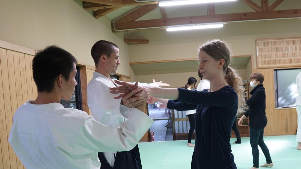 What Is Aikido? (An Introduction to the Japanese Martial Art - Aikido Techniques