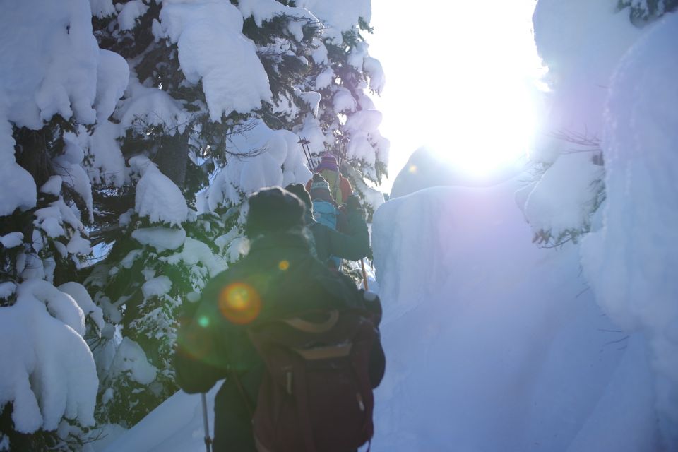 Whistler: Backcountry Snowshoeing Tour With Guide - Group Size and Language