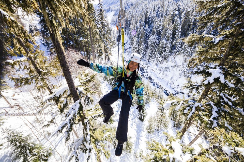 Whistler Zipline Experience: Ziptrek Bear Tour - Highlights of the Ziplining Adventure